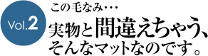 ���̖тȂ݁E�E�E�����ƊԈႦ���Ⴄ�A����ȃ}�b�g�Ȃ̂ł��B