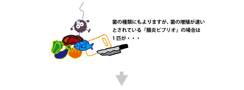 菌の種類にもよりますが、菌の増殖が速いとされている『腸炎ビブリオ』の場合は1匹が・・・