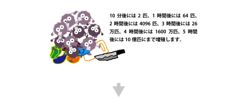 10分後には2匹、1時間後には64匹、2時間後には4096匹、3時間後には26万匹、4時間後には1600万匹、5時間後には10億匹にまで増殖します。