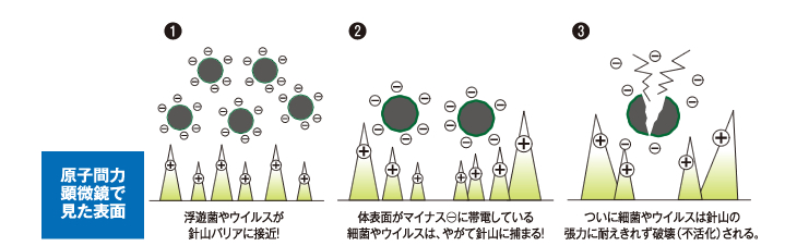 公的データにて高い安全性が証明されています。