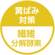 黄ばみ対策